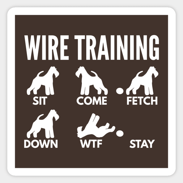 Wire fox store terrier training